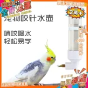 星選⭐批發  鳥用飲水器鳥喝水大中小型鸚鵡撞針水壺龍貓飲水自動喂水器