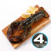 華得水產 活凍波士頓龍蝦4尾(700-750g/尾/特大尾)