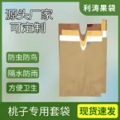🔥臺灣出貨🔥桃子 套袋 雙層 單層 桃子 水果套袋 釋迦 橘子 芭樂 芒果 水蜜桃 甜瓜 楊桃 蓮霧 柑橘 柿子果袋