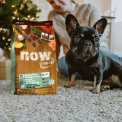 【狗主食】now 鮮魚無穀 小型成犬天然糧 狗飼料 護毛