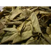 ~香料櫥櫃~吉海辛香料 咖哩葉粉 純度100% 原產地印度 本賣場滿200元才出貨