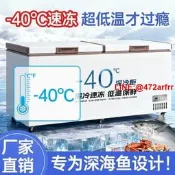 急速冷凍超低溫-40℃零下40度冰櫃商 零下50度冰櫃冰箱冰櫃高端