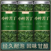 在臺有貨🎊【小葉苦丁】新茶上市苦丁茶正宗小葉苦丁茶青山綠水搭蒲公英新貨綫下秒殺🎊 TF55