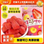✨新品特惠  含羞草草莓幹400g水果乾批發果乾蜜餞果脯休閒零食便宜大包裝年貨