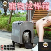 錦盛實木家居 台灣公司 免運 【 運輸款寵物拉桿箱 】搭乘高鐵拉桿箱 捷運的好幫手 拉桿包 拉桿箱寵物包 寵物提袋 外出提籠 寵物推拉桿箱 工廠直銷 全館折扣 售後保障 店長新品推薦 6j725