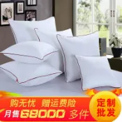全球選品1館 生活百貨 抱枕芯內膽沙發枕芯家用靠墊芯45x45抱枕心50x50靠背內芯40靠枕芯