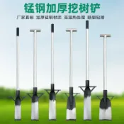 協貿國際日用品生活1館 挖樹鏟子全錳鋼加厚洛陽戶外專用移苗起斷根工具挖土坑樁神器鐵鍬