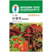 【天橙種子】彩葉草種子 F-165 約150粒 2~10月播種 混合色 花卉種子 農友種苗 家庭園藝 彩色原包裝