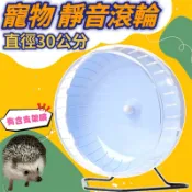 現貨秒出 促銷超低價 寵物靜音滾輪 超大直徑30公分 刺蝟🦔蜜袋鼯 龍貓 黃金鼠 動物