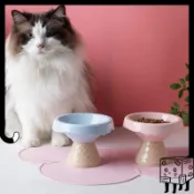 BCAT 盒子裡的貓 🐈 現貨.ᐟ.ᐟ 冰淇淋高腳碗 甜筒寵物碗 陶瓷寵物碗 貓碗狗碗 保護頸椎防打翻 餐墊