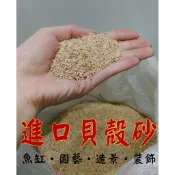 天然砂 ★ 貝殼砂 1公斤 底砂 培菌 造景 園藝 石頭 砂石 沙子 魚缸 水族箱 裝飾 海貝沙 珊瑚砂 底沙