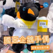 企鵝 手偶 娃娃 屏東海生館 代購 XPARK 企鵝手偶 企鵝玩偶 可愛的東西 兒童玩具 海生館 生日禮物 抖音同款