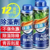 🔥臺灣熱銷🔥 除藻劑 300/700ml 除藻王 魚缸除藻劑 綠藻 青苔 除褐藻 黑毛藻 魚池滅藻劑 魚缸清理神器 