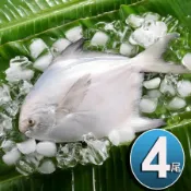 華得水產 鮮嫩野生白鯧魚4尾組(400-480G/尾)