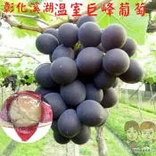 【緁迪水果JDFruit】台灣小農-彰化溪湖巨峰葡萄(3kg/5kg)-溫室栽培 甜度高達22.5度 高品質的台灣小農之光