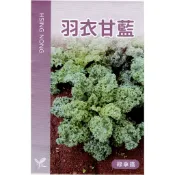 愛上種子 羽衣甘藍種子(無頭甘藍) 【蔬果類種子】興農牌中包裝 每包約1公克