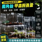「台灣出貨」【🪲活體成蟲甲蟲獨角仙飼養盒】活體甲蟲飼養箱 獨角仙成蟲寵物箱 亞克力蜘蛛守宮飼養盒 鍬形蟲造景爬寵箱 昆蟲