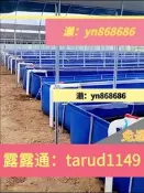 免運☑️養魚專用箱帆布魚池全套專用水箱刀刮布魚池帶支架簡易魚池戶