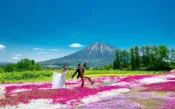 【Klook客路】北海道札幌二世古羊蹄山絕景之旅：5月芝櫻鬱金香/7月薰衣草/9-10月紅色波波草及沼澤秋色 免費取消 
