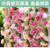 (店+)嘉義現貨 仿真櫻花藤條 假櫻花藤蔓 假花藤 藤蔓花條樹 仿真塑膠假花藤條 假綠植  假花 仿真植物 櫻花布置 裝飾花藤