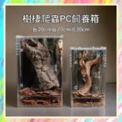 ★爬蟲新樂園★[台灣現貨]樹棲爬蟲PC材質飼養箱 直立爬箱 樹棲守宮 蜥蜴 變色龍 R屬守宮 睫角 蓋勾亞 樹蛙