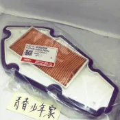 《少年家》PGO 原廠 XHOT X-HOT 125 150 GMAX G-MAX 空氣濾清器 空濾 濾芯 濾網