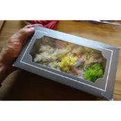 My Wonderful 混色零枝材料包【蓬萊松／金仗球】