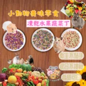 【格瑞特寵物】冷凍乾燥水果乾 綜合水果乾 蘋果凍乾  蔬菜乾 凍乾 小寵零食 貂 龍貓 黃金鼠 三線鼠 倉鼠 兔子 鸚鵡