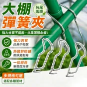 彈簧夾✨現貨✨小拱棚壓頂夾 鐵管彈簧夾 鍍鋅彈簧夾 鍍鋅亞管夾 溫室用錏管彈簧夾 大棚配件 小棚壓膜卡 葡萄架固定夾