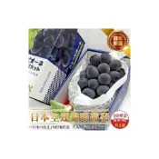 (店+)【果之蔬】日本巨峰貓眼葡萄(每串約700g/串)水果禮盒.三節送禮