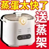 【現貨可開統編】德國蒸蛋器自動斷電家用小型多功能煮雞蛋機神器新款煮蛋器