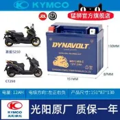 光陽猛獅原廠 賽艇 CT250 CT300 S350S400動麗125 電池 電瓶
