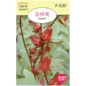 (店+)【天橙種子】洛神葵種子 洛神花 F-530 花卉類種子 3~7月播種 天星牌 穗耕種苗 家庭園藝 彩色原包裝