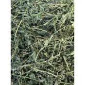噗啾草坊🐹 頂級苜蓿草 細梗大片葉 紫花苜蓿 現貨供應 天竺鼠 兔子 龍貓 陸龜 等小寵 主食 牧草 乾草