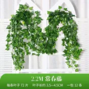 💖臺灣-出貨💖仿真綠植綠葉藤條常春藤爬山虎藤蔓庭院圍欄裝飾空調管道遮擋藤蔓03cF