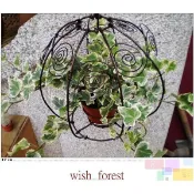 WISH FOREST【嚴選植栽。常春藤】３吋小品／蔓性垂吊／斑葉／耐陰