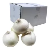 【Costco好市多】進口牛奶洋蔥 6公斤 Imported White Onion 6 kg