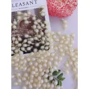 左旋維C膠原膠囊 時空膠囊 美白 維他命C 潤澤 緊緻  滋潤
