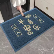 客製化尺寸 入戶門地墊進門大門口絲圈腳墊門外玄關進戶除塵地毯出入平安門墊
