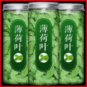 新品上市 果茶 冷泡茶薄荷葉幹可食用泡水新鮮薄荷茶罐裝博荷葉新鮮貨批發