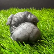 沙皮狗 | 烏雞種翡翠 小萌寵
