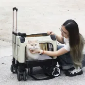 寵物拉桿包 寵物揹包 寵物推車 寵物外出包 狗揹包 貓揹包 寵物拉桿箱大容量兩隻貓春夏透氣貓包外出便攜比熊小型犬透氣手提