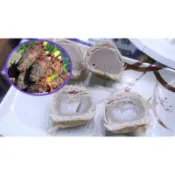 大甲鎮瀾宮 2顆只要162先麥芋頭酥 大甲媽祖節