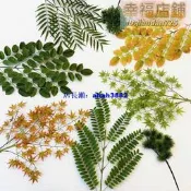 彷真園林景觀綠植楓葉 松針 羅漢松大型工程花卉商場室內裝飾樹葉