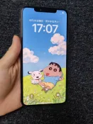 古瓷堂日本回流瓷器 【二手】iPhone Xs Max 256G 品勝電池更換 電池健康100% 功能正常無暗病 二手優質手機 高效續航