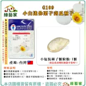 【綠藝家】G109.小白迷你栗子南瓜種子1顆 早生貝貝南瓜，結果性強，白皮小果之西洋南瓜 果肉橙黃
