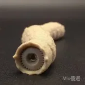 台灣出貨📣3D打印沙蟲 關節可動 沙蟲模型 手把件 網紅解壓玩具