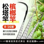 寶島萬象百貨 [優惠不間斷]碳素伸縮松塔竿抄網檳榔不銹鋼蜂窩高空多功能摘果香椿槐花割草