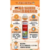 {鴻富小舖｝雨刷精250ML／玻璃清潔劑／玻璃油膜去除劑／雨刷潤滑劑／福士WURTH