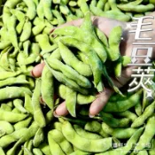 (温鮮生|漁市場)(生)毛豆茭(3公斤)附發票
